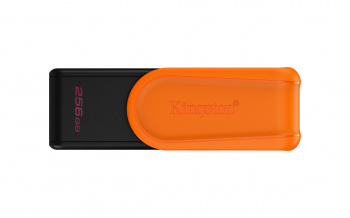 Memorias USB Kingston Technology DTXS/256GB